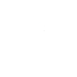 دليل silver frog